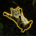 Sliding Cat crypto project on ListingSpy